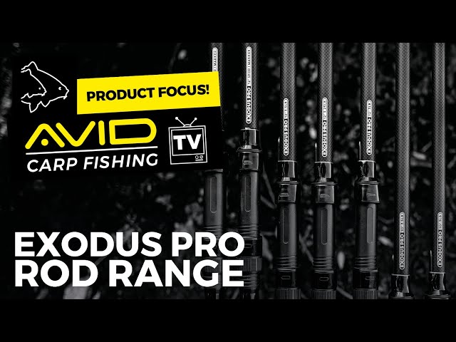 ROD'S THAT WON'T BREAK THE BANK!  Exodus Pro Rod Range (Carp Fishing) 