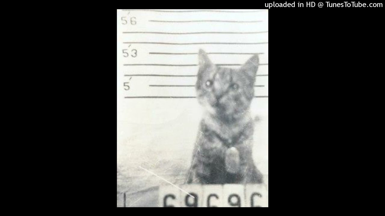 ken carson x starboy x morechaos type beat - "gnarl"