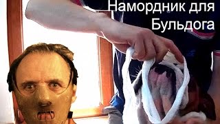 Намордник для Бульдога - простой способ как сделать самому Намордник для Бульдога - простой способ как сделать самому