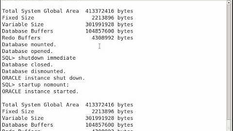 HP DP Oracle Configuration in Linux part1
