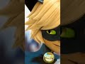 Miraculous Cat noir Edit 🐈‍⬛