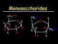 Monosaccharides - Glucose, Fructose, Galactose, & Ribose - Carbohydrates