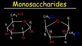 Monosaccharides  Glucose, Fructose, Galactose, & Ribose  Carbohydrates