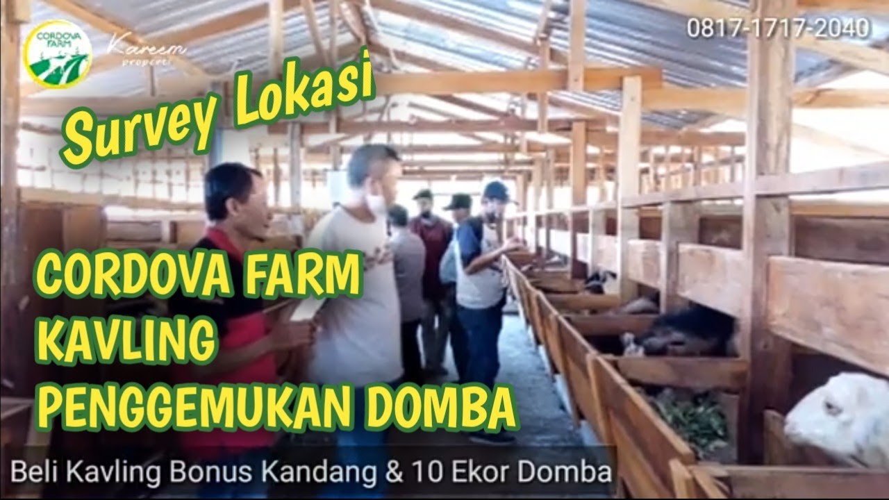 Dokumentasi Survey Cordova Farm 20 Juni 2020 YouTube