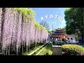 일본여행 | 고즈넉한 교토 근교 여행 | 우지 뵤도인 | 나카무라토키치, 덴뿌라 로바 | 힐링여행 vlog