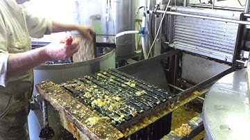 Manuka honey extracting process - uncaping and loading centrifuge