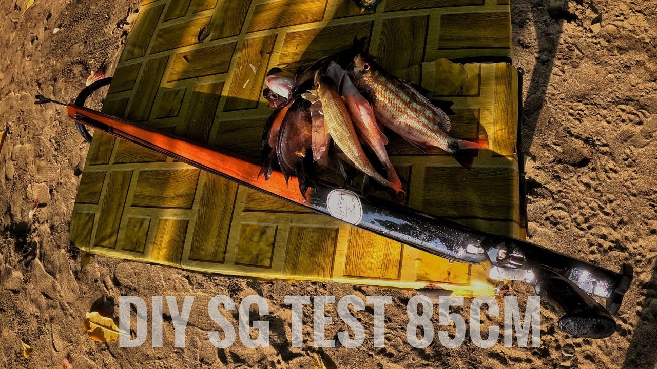 DIY 85cm SG TEST 12mm Rubbers || Harvest Ginagmay || SPEARFISHING CEBU