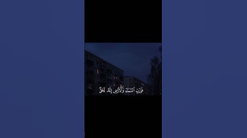 وَفِي السَّمَاءِ رِزْقُكُمْ وَمَا تُوعَدُونَ ||تلاوة خاشعة بصوت الشيخ فارس عباد 💗🌿