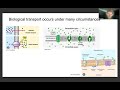 PDE models of biological transport