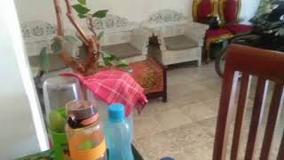 asli wong jowo etan's broadcast