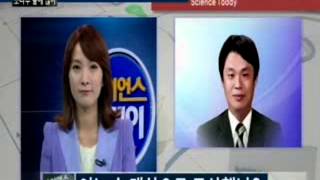 피톤치드, 소나무숲에 많아 / YTN 사이언스