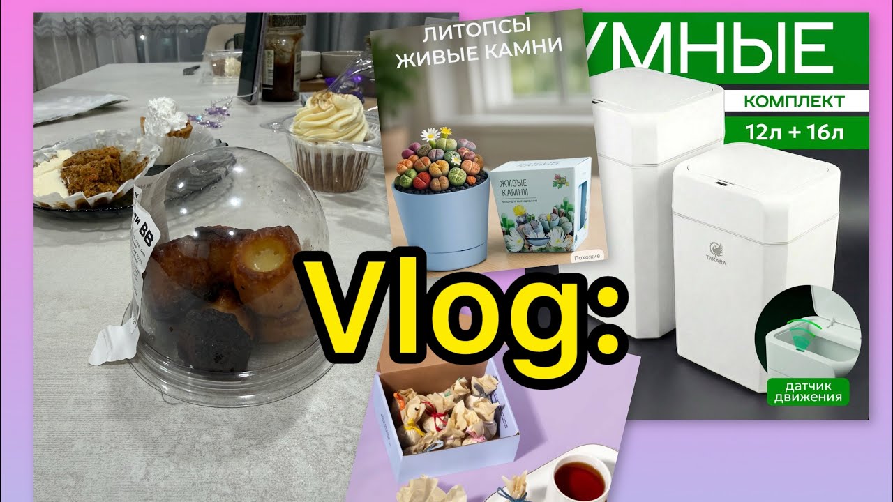 Vlog: Новое увлечение купила живые камни/ Сенсорное ведро с Озон/ пробуем сладости из Вкусвилл 