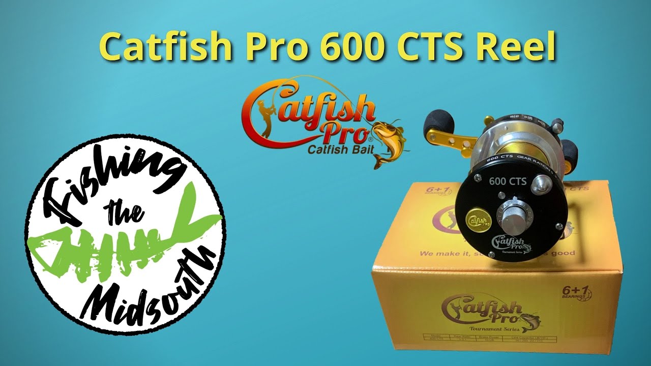 Catfish Pro 600 CTS Teardown and Review 