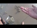 Beach metal detecting idd 329 trying out the xp deus 2