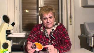 Parazitakezelés külföldön Gyógyító parazita kezelés, Mi a bélférgesség?