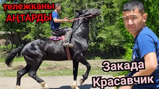 тележканы АҢТАРА КОЙДУ