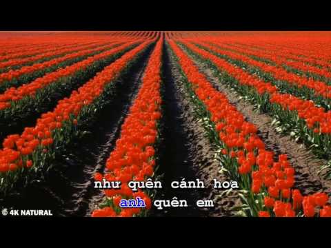 Nụ Hồng Mong Manh Karaoke 6 số California HD