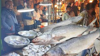 সাগরের মাছে ভরপুর ঢাকা কাওরান বাজার | অনেক কমলো সাগরের মাছের দাম দেখুন ||
