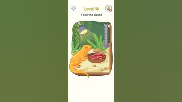 DOP 3 Level 13 Walkthrough - "Feed the lizard" #shorts