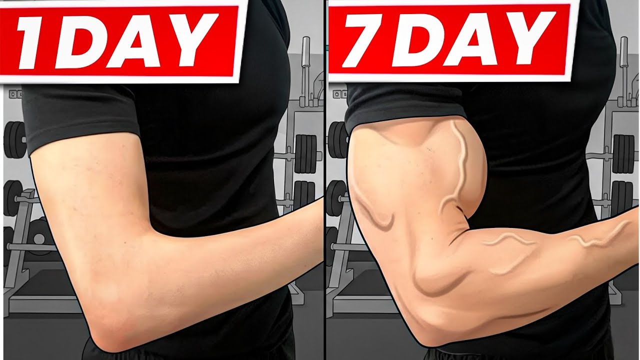 Grow Your Arms at Home | No Equipment Workout