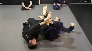 201 DLR - Shotgun Sweep Variations