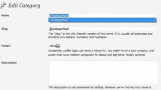 Wordpress - 17  CATEGORIES Set Up