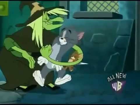 Video Tom và Jerry Phù Thủy 2 - Công ty chống thấm nhà tại... - youtube