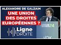 Pourquoi marine le pen sestelle rendue en espagne aux cts de javier milei 