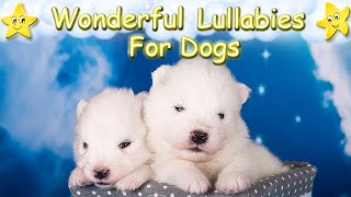 Relaxing Sleep Music For Dogs And Puppies ♫ Calm Your Dog Effectively Within Minutes