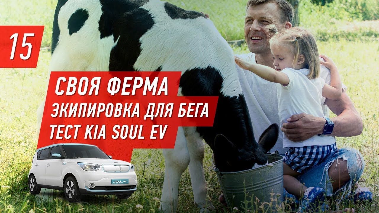 Как начать бегать - спортивное питание и своя ферма , экипировка для ...