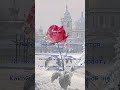 Любому сердцу... #любовь #зима #счастье #жизнь #мотивация #мудрость #вдохновение #стихи #душа