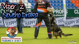 Wusv 2017 Chris Bows Viper Z Noveho Draka C Protection 82Pts