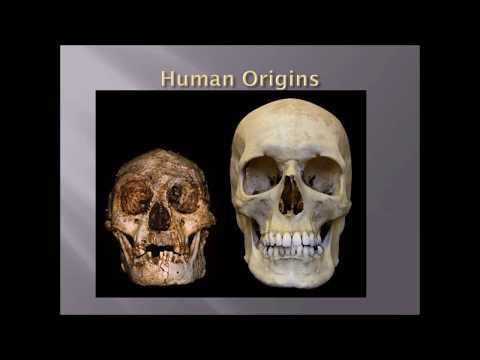 Intro to Physical Anthropology