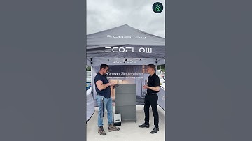 Introducing the EcoFlow Home Energy Ecosystem!⚡️