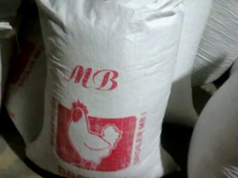 3 bebek pabrik valas
