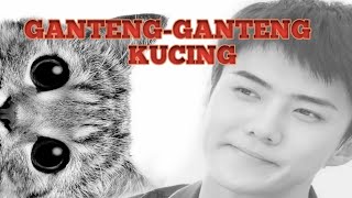 alur cerita cat man