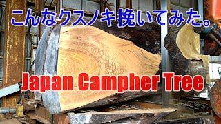 こんなクスノキ挽いてみた。Japan Campher Tree!!