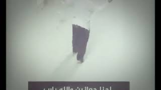 عارفه سواد العسل اهو دا الي حالك ليه وصل 💔✌🏻 حالة واتس تقطع القلب