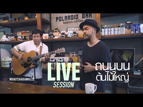 ถนนบนต้นไม้ใหญ่ Live session - วัชราวลี