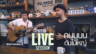 ถนนบนต้นไม้ใหญ่ Live session - วัชราวลี chords