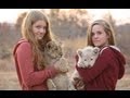 Baby Lions and Leaving Africa