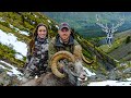 Stone Sheep and Wolf Hunt, British Columbia