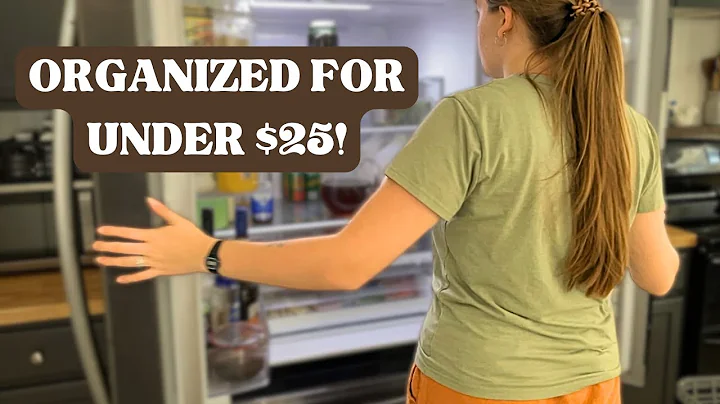 Budget DOLLAR TREE organization ideas - organize your refrigerator and home on a budget