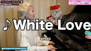 ハラミちゃんWhite Lovespeed20211129作業用Bgm