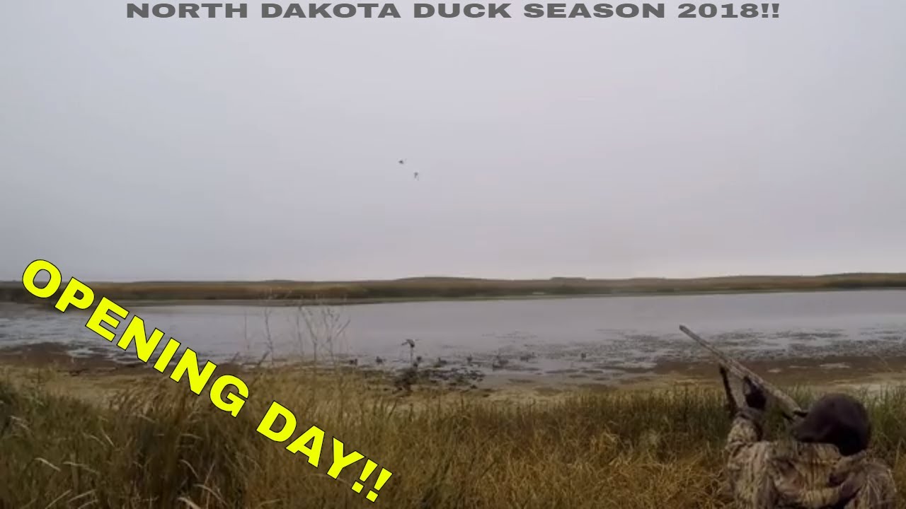 Opening Day Duck Hunt 2018! North Dakota Public Land Duck Hunt! YouTube