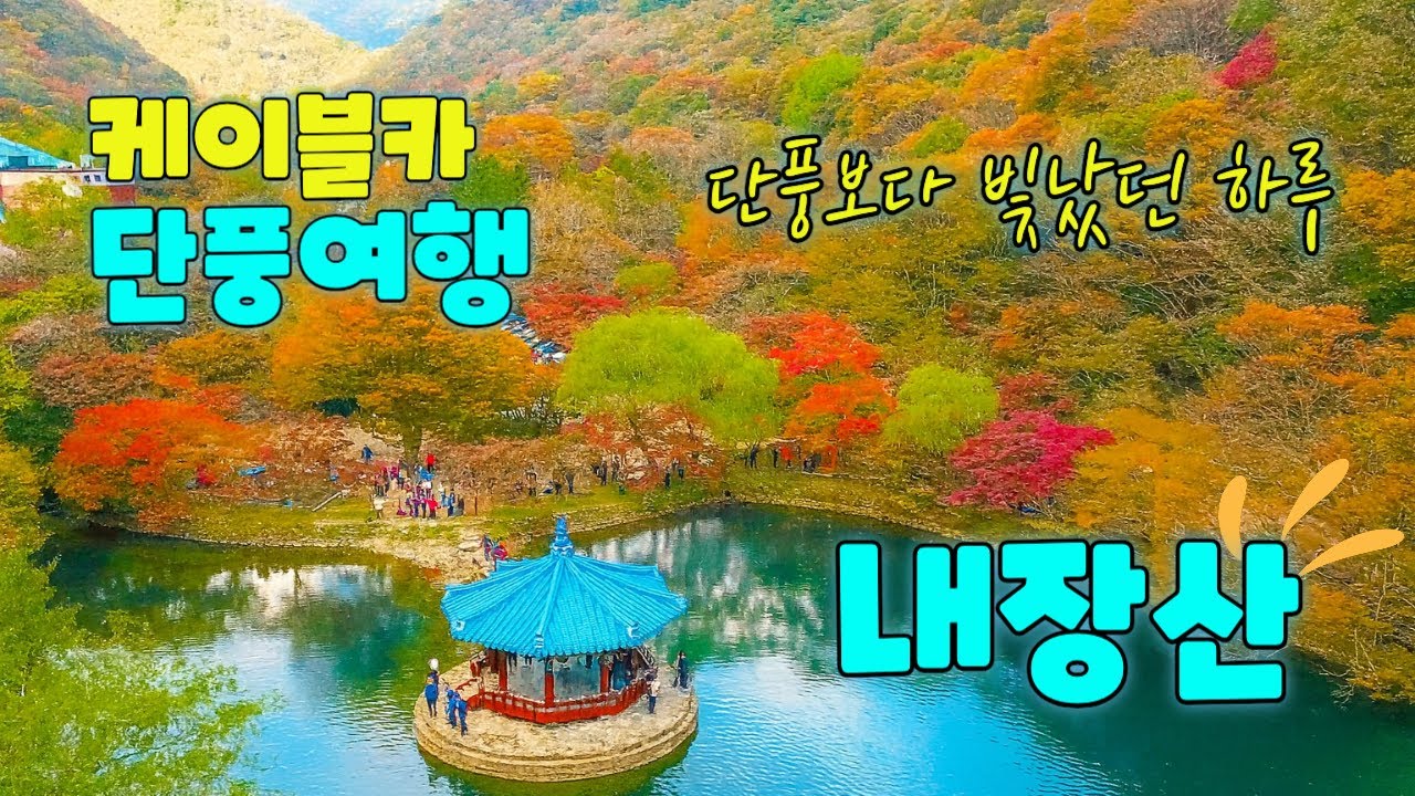 [4K] Осенние краски на горе Нэджансан | Дружба теплее осенней листвы