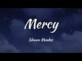 Mercy - Shawn Mendes (Lyrics)