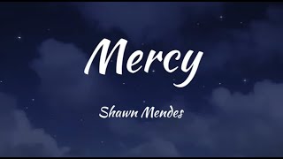 Mercy - Shawn Mendes (Lyrics)