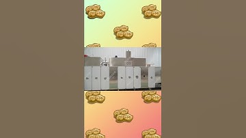 Groundnut Roasting Machine Test Video Peanut Roasting Machine From Cara@machinehall.com