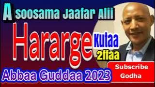 Asoosama Jaafar Alii Abbaa Guddaa kutaa 2ffaa 2023